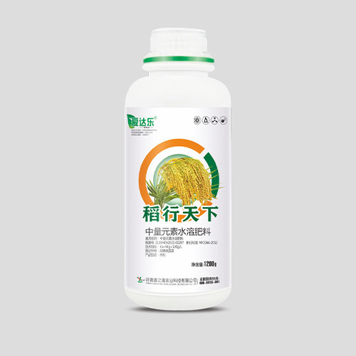 稻行天下